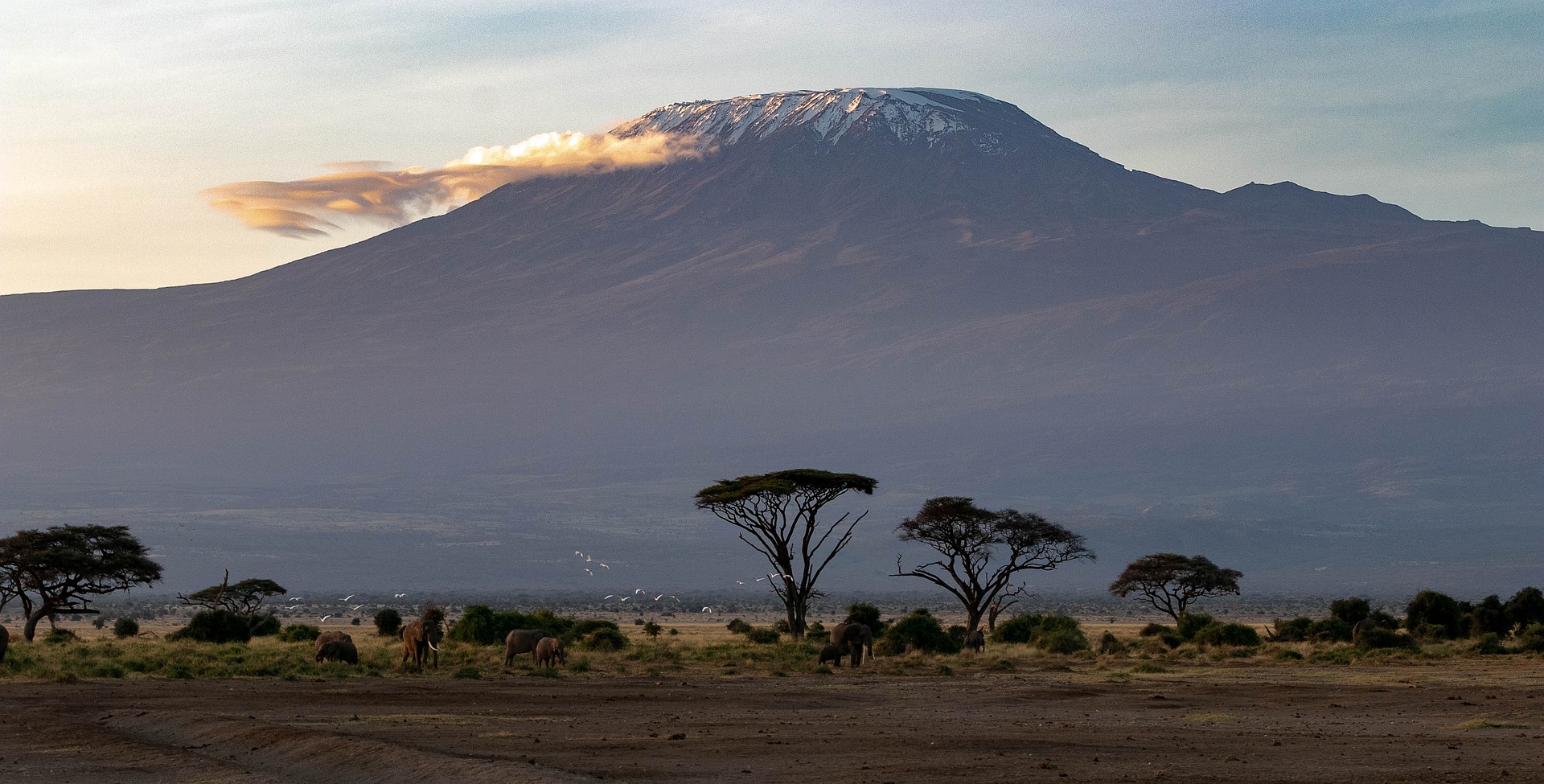 Kilimanjaro