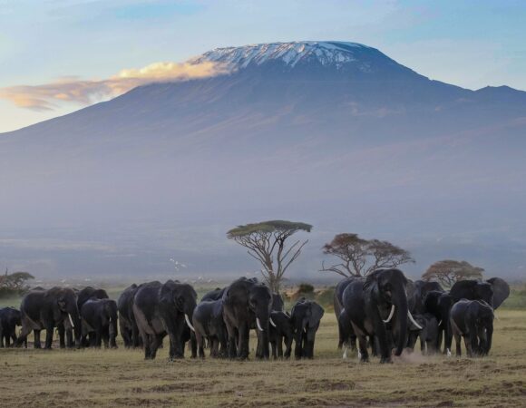 Hidden Gems of Tanzania: Discover Safari Destinations Beyond the Serengeti and Ngorongoro