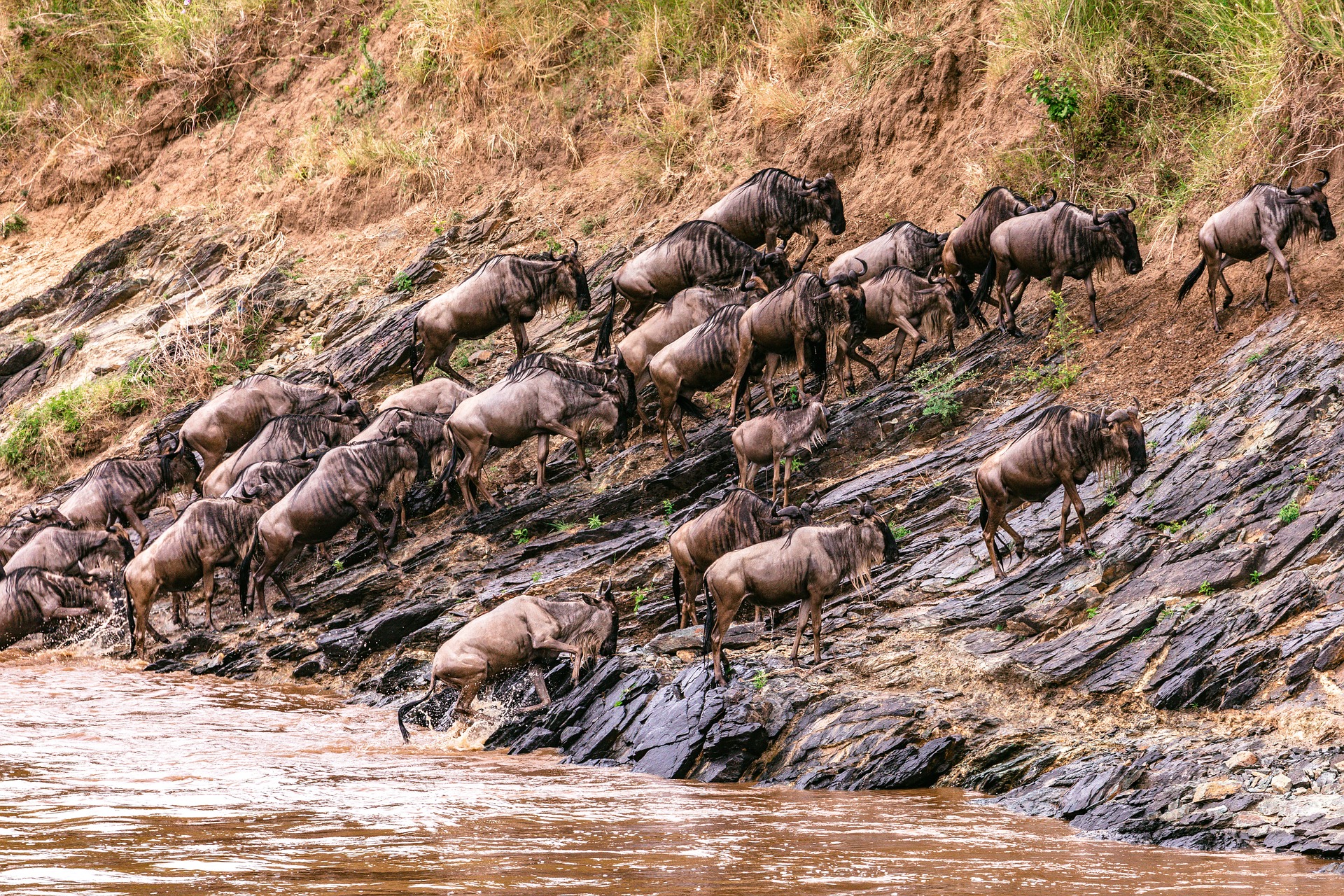 Serengeti