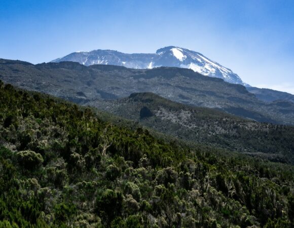 7 Days Mount Kilimanjaro Climbing – Lemosho Route