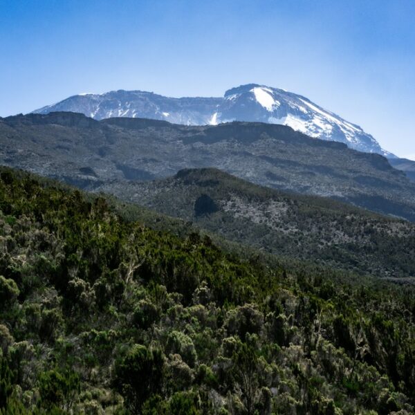 Mt. Kilimanjaro