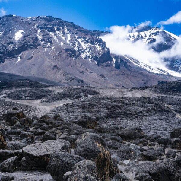 7 Days Mount Kilimanjaro Climbing - Shira Route Adventure