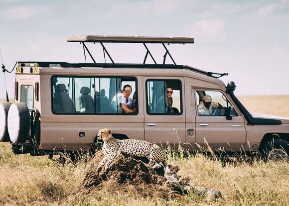 About your Safari vehicle